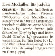 Bezirksmeisterschaften 15.01.2011