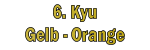 6. Kyu Gelb - Orange